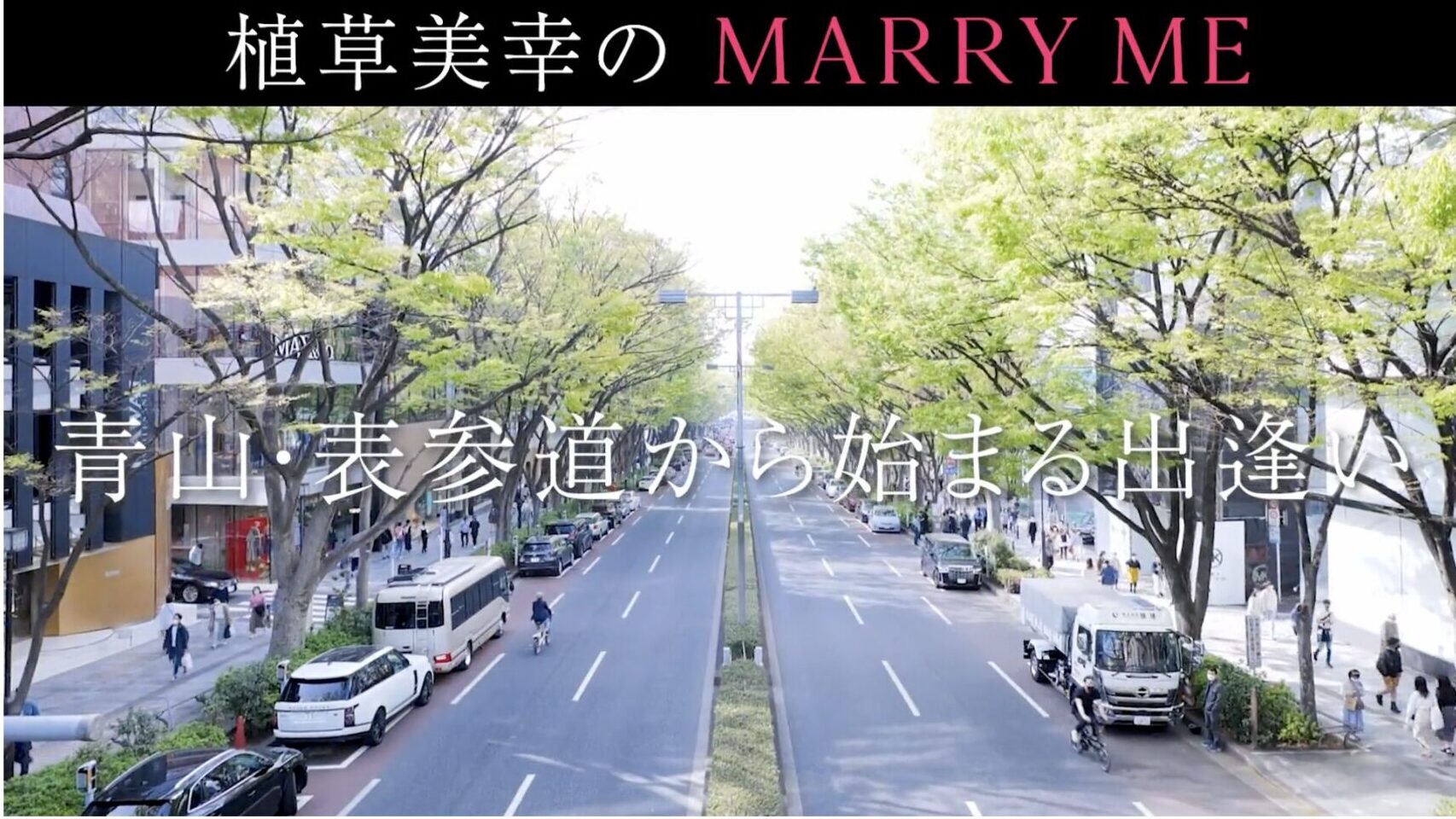 結婚相談所マリーミー